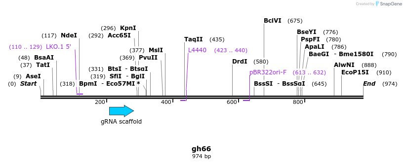 221026_map