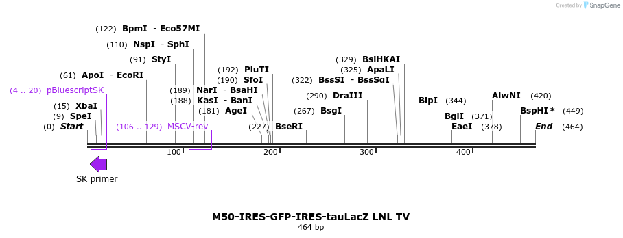 22103_map