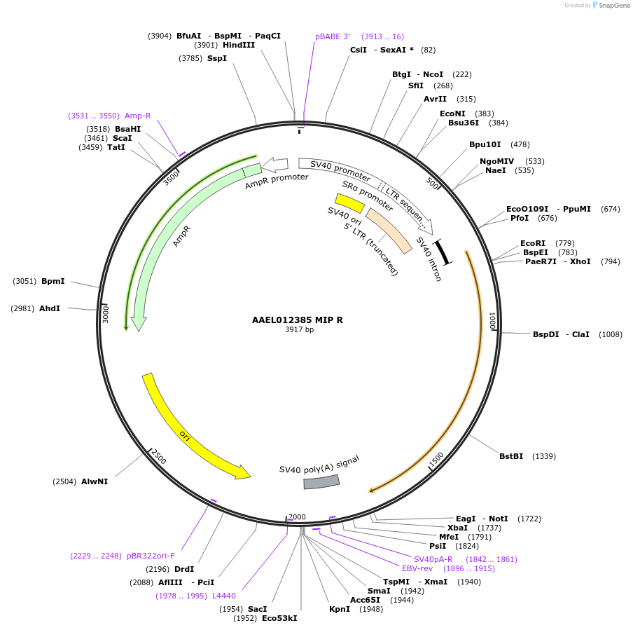 221036_map