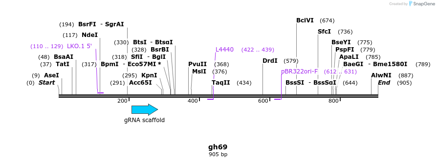 221038_map