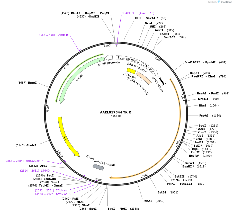 221040_map