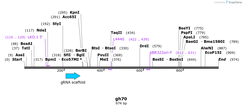 221042_map