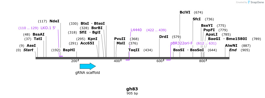 221046_map