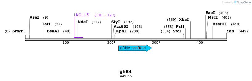 221047_map