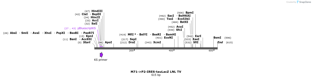22105_map