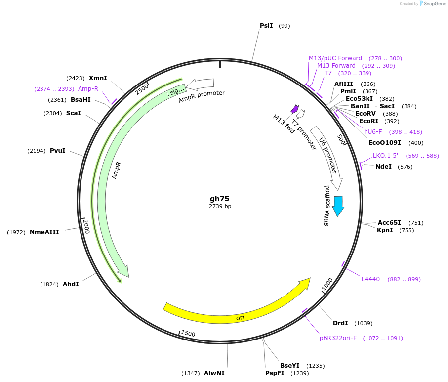 221051_map