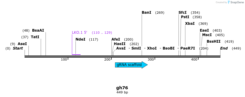 221053_map