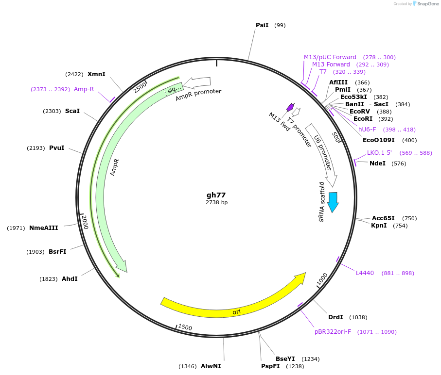 221058_map