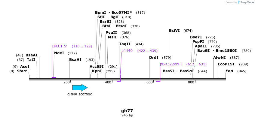 221059_map