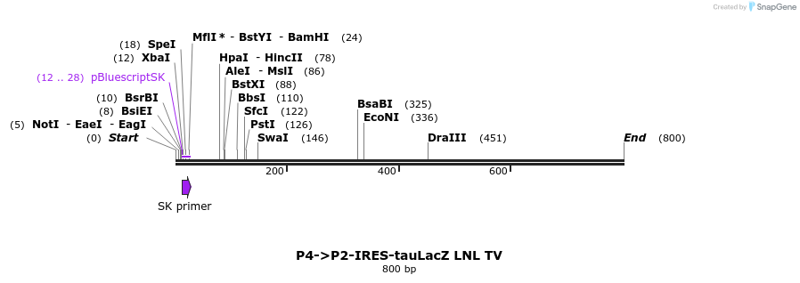22106_map