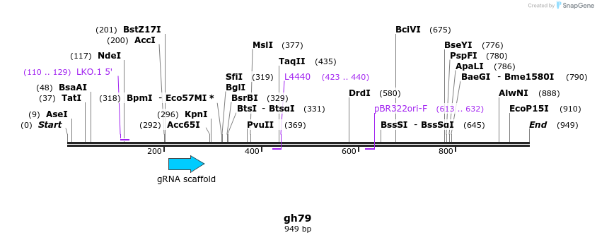 221064_map