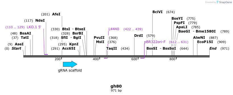 221066_map