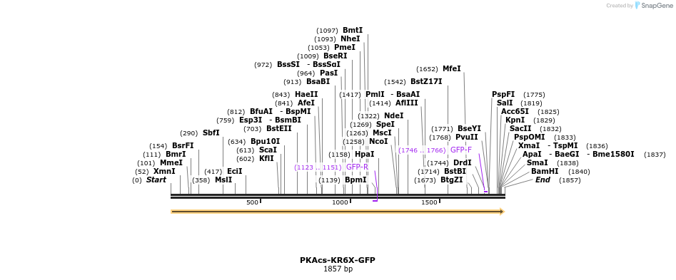221069_map