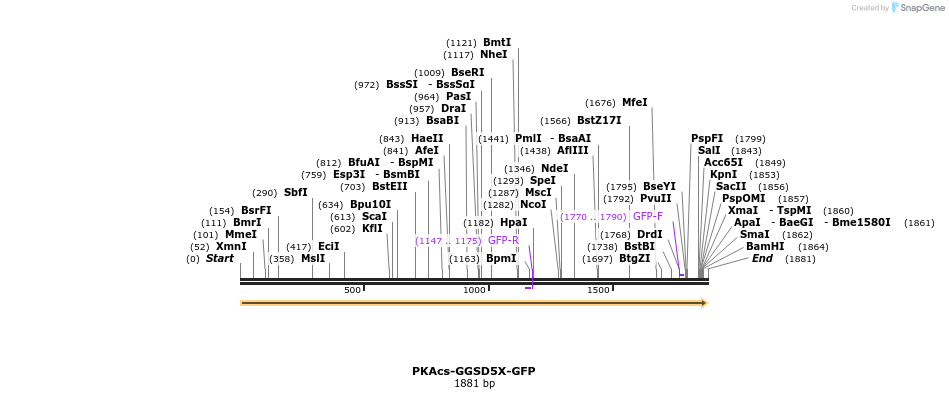 221070_map