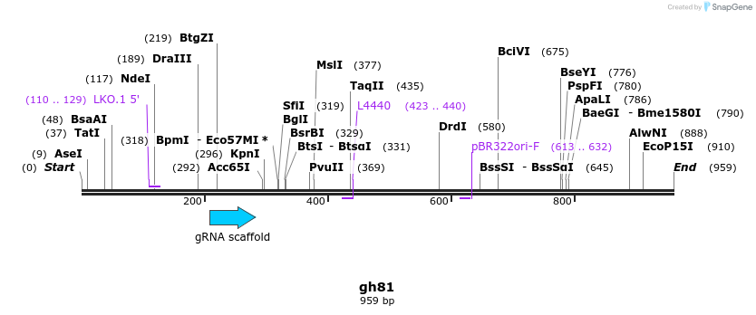 221073_map