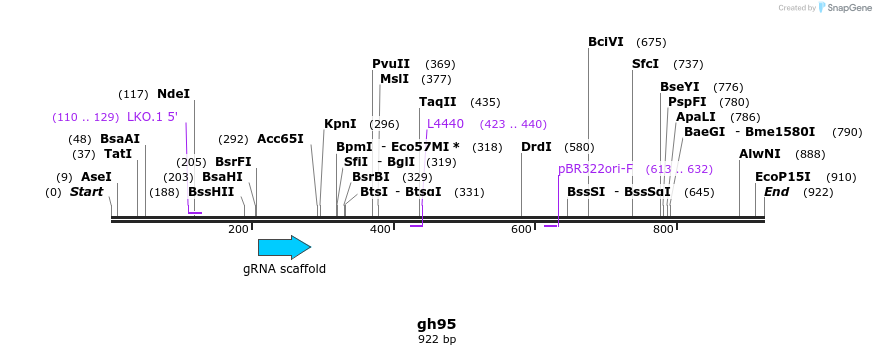 221079_map