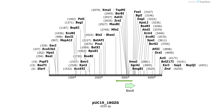 221082_map