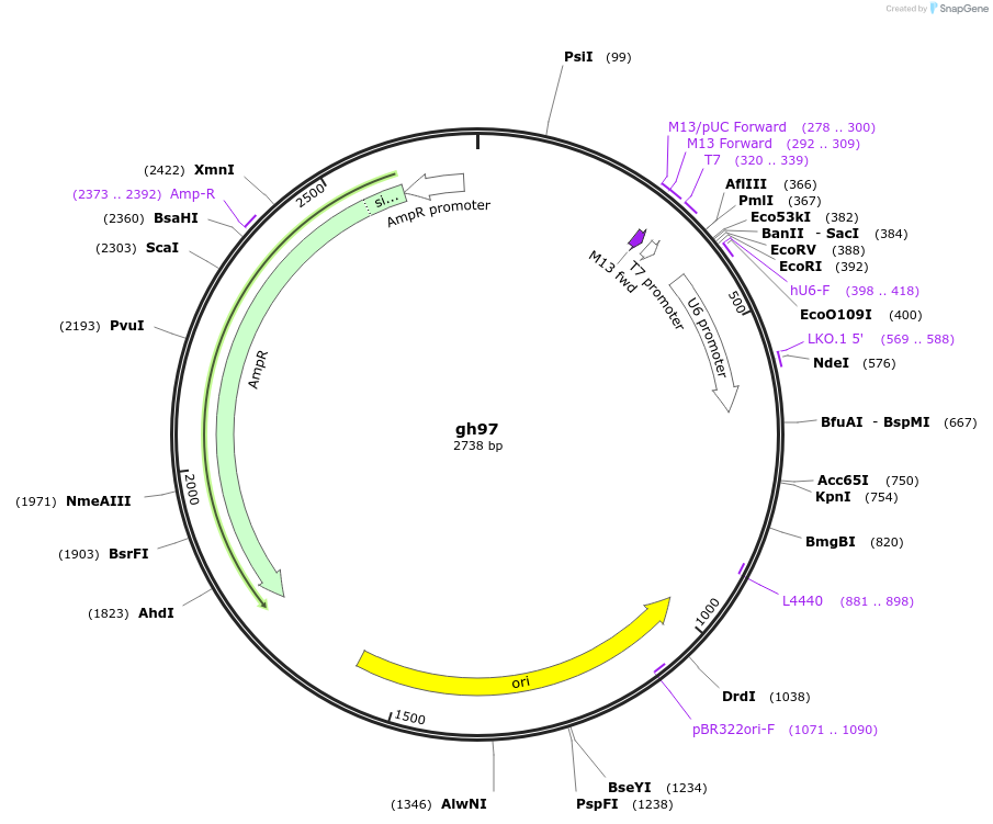 221084_map