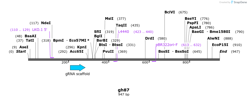 221087_map
