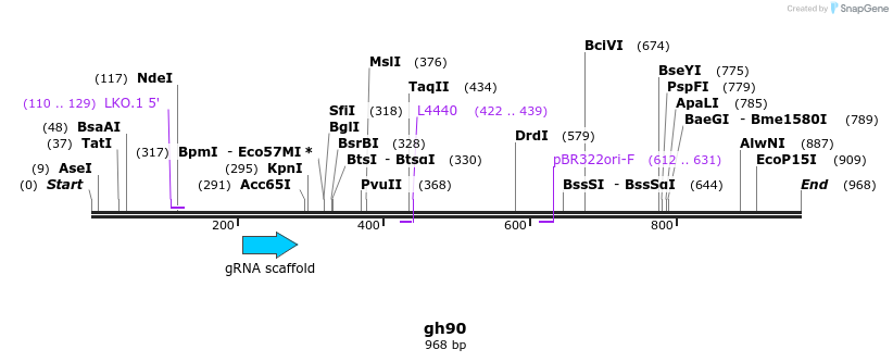 221091_map