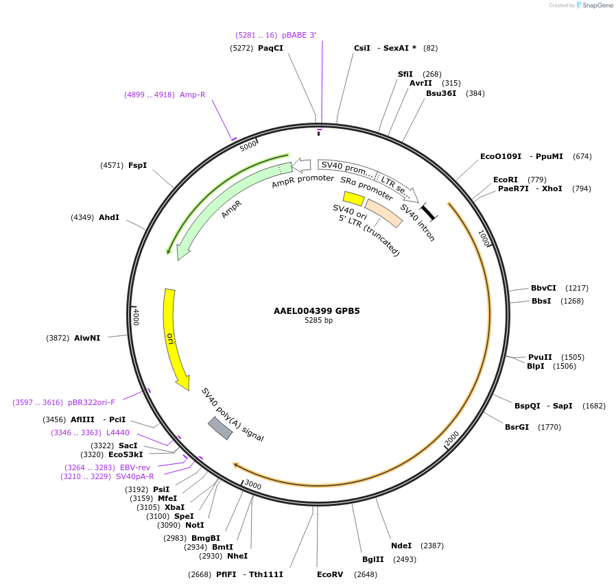 221092_map