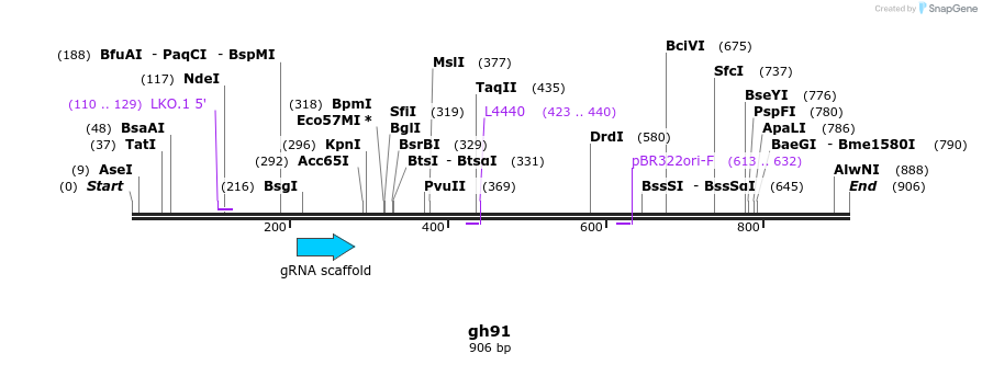 221094_map