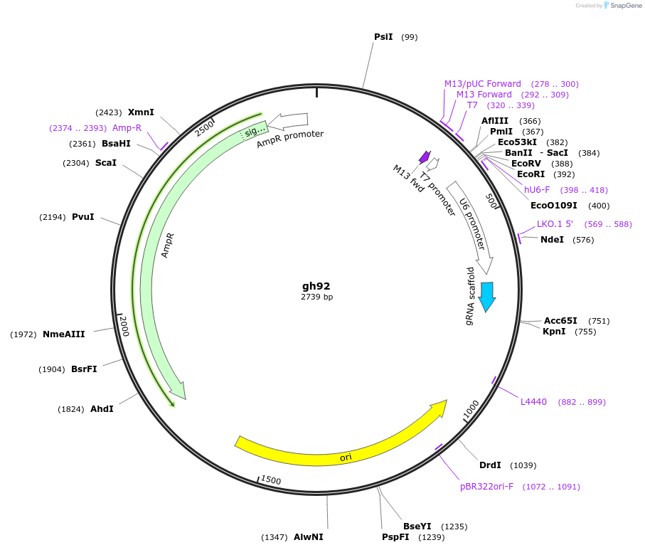 221095_map