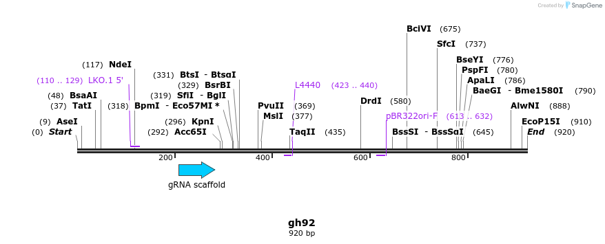221096_map