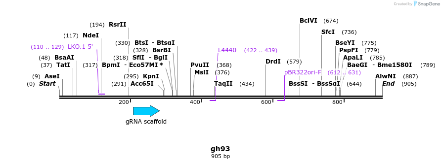 221110_map