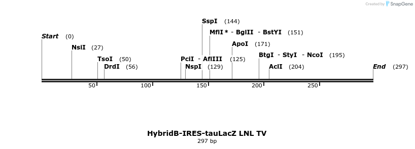 22113_map