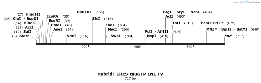 22116_map