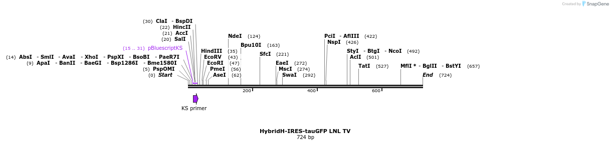 22119_map