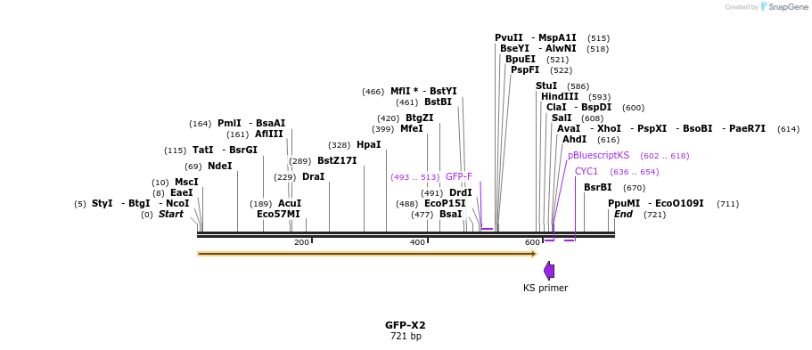 221197_map