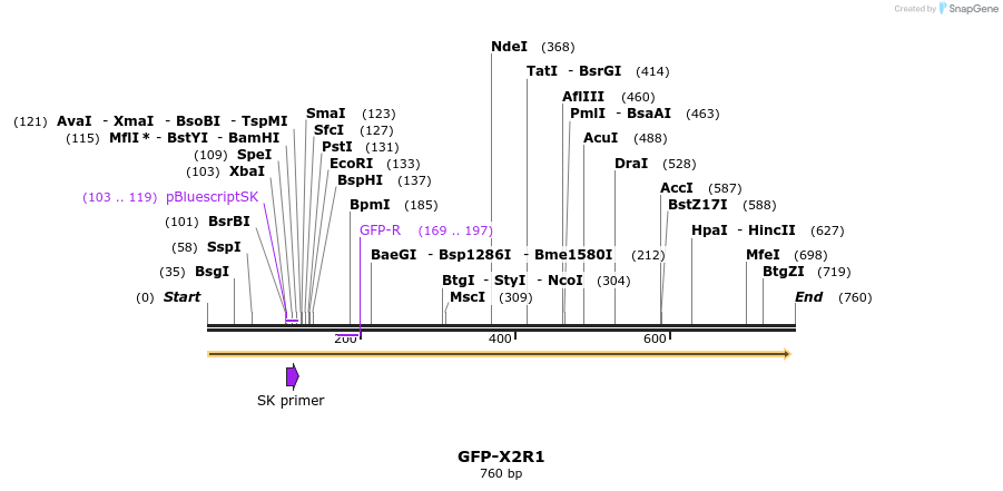 221198_map