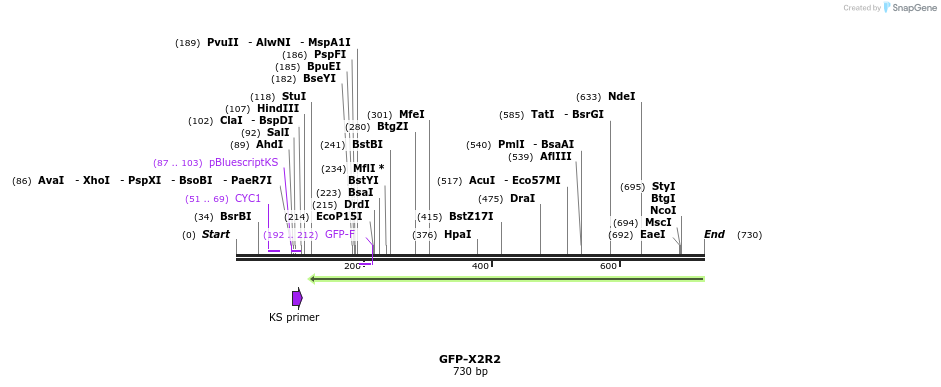 221203_map