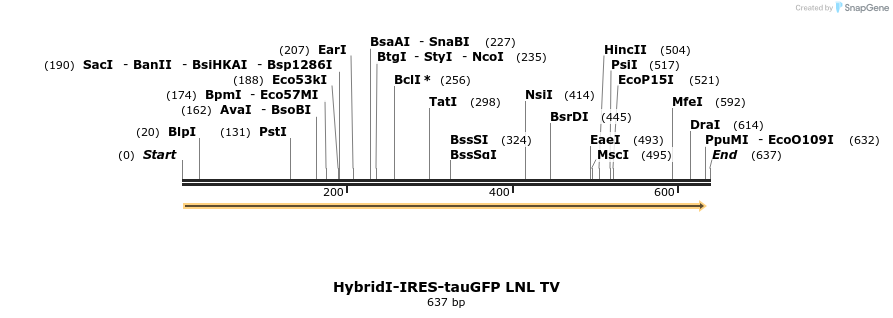 22121_map