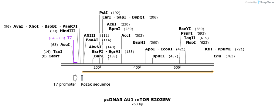 22123_map