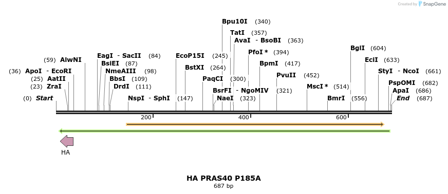 22124_map