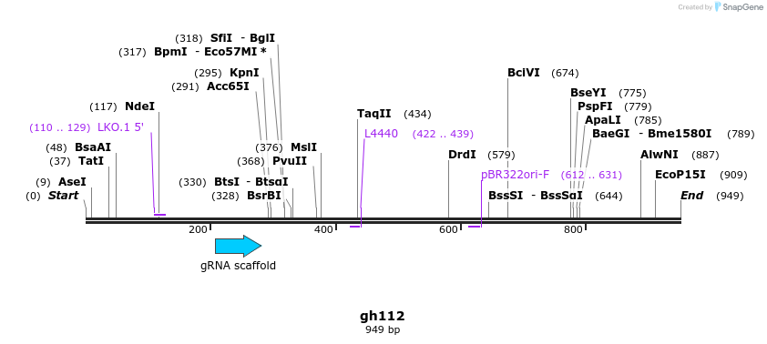 221249_map