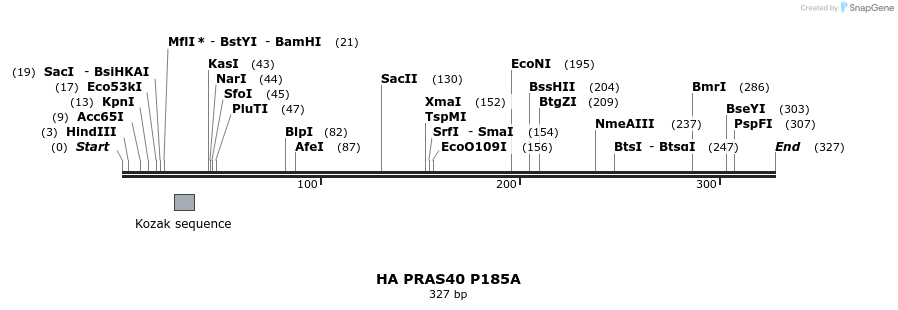 22125_map