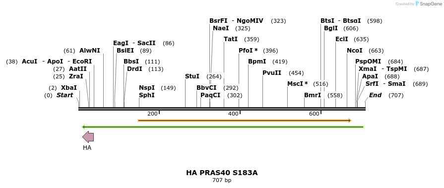 22126_map