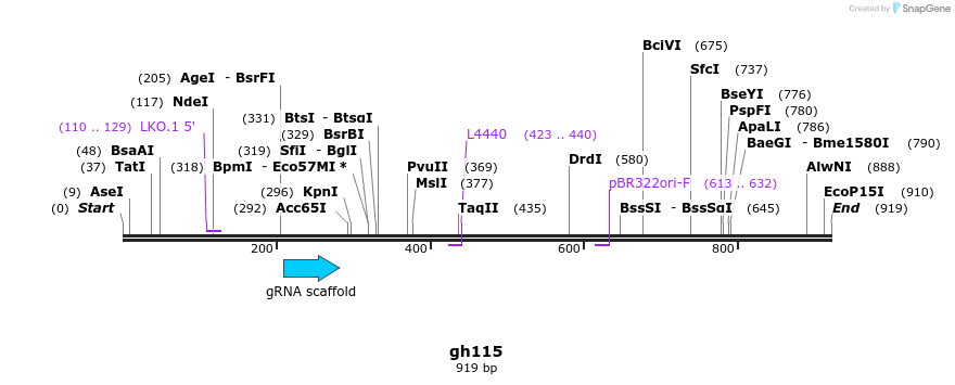 221262_map