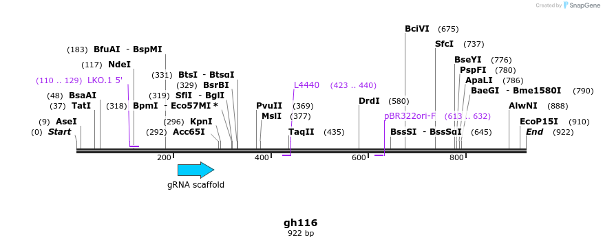 221265_map