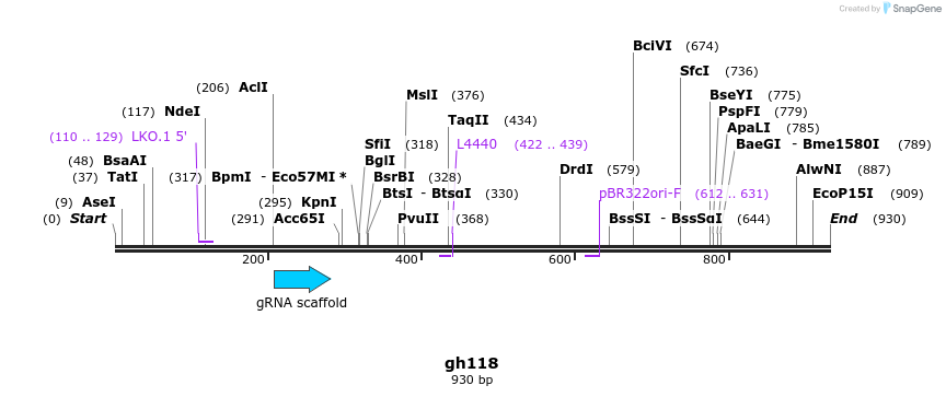 221269_map