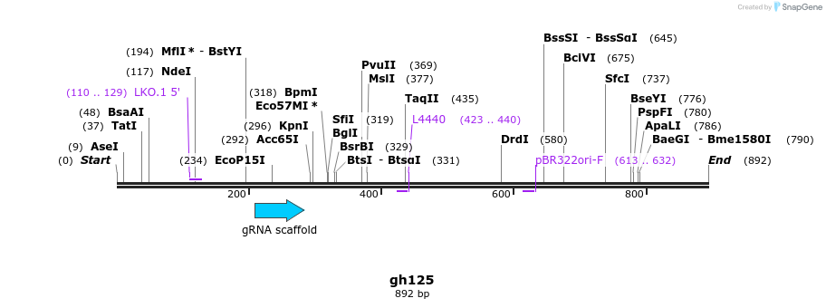 221283_map