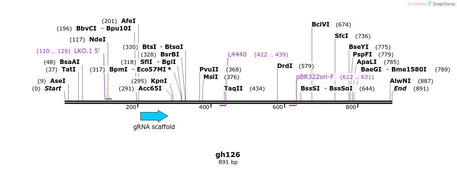 221286_map