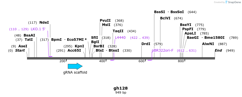 221291_map