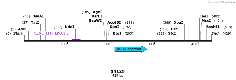 221292_map