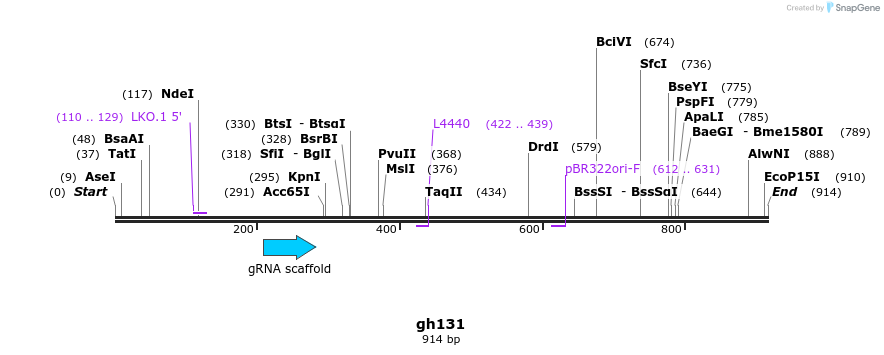 221296_map