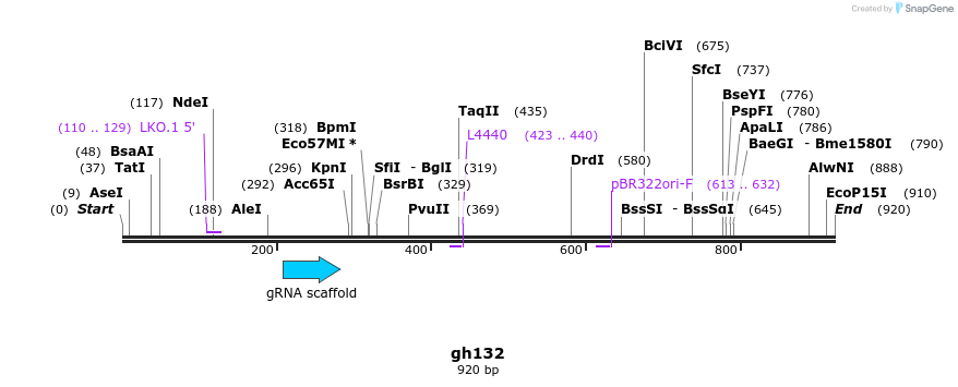 221299_map